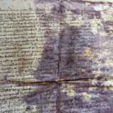 I documenti, seppur con grandi macchie di umidit� ed erose in pi� punti, mostrano ancora la raffinata grafia medievale